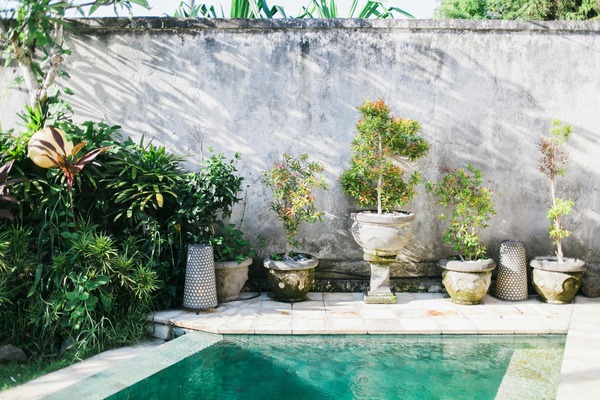 Illuminate Your Outdoor Oasis with Solar Garden Decorations: Adding Charm and Sustainability to Your Space